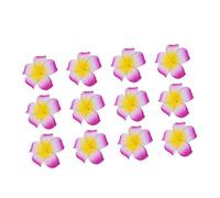 VINTORKY 12pièces Pinces à Cheveux Frangipani Pour Et Femmes Accessoire De Coiffure Boho Pour Mariage Plage Et Poudré