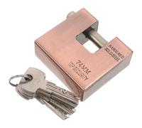 VINTORKY Cadenas avec adenas de Sécurité Vintage en Fer, Format Rectangulaire Agrandi et Épaissi, Marron, 5 Clés, pour Porte D'entrepôt et Usage Domestique