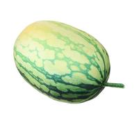 VINTORKY Coussin Peluche Pastèque Réaliste Oreiller Forme De Fruit Pour Décoration Intérieure Et Détente Peluche Amusante Pour Adultes