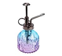 VINTORKY Petit Arrosoir Verre Vaporisateur pour Fleurs Flacon Pulvérisateur Transparent Facile Utilisation Contrôle Niveau Eau