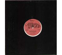 (VINYL 12") Fight To Survive