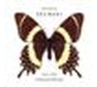 Vinyle album MUSIC ON VINYL Sophie Zelmani A Decade of Dreams 1995-2005 Édition limitée Vinyle coloré