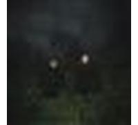 Vinyle Bigwax Distribution O O - Songs Of Wishes And Bones 33T LP 1 disque 11 titres Noir