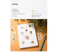 Cricut Vinyle imprimable – Set de films A4 – Largeur de coupe 29,7 cm – Or