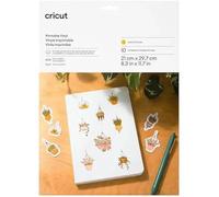 Vinyle Imprimable - Non Spécifié - A4 - 10 Feuilles - Compatible Cricut - Couleur Or