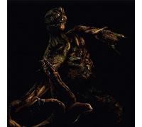 Vinyle Resident Evil 0