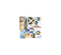 Vinyle Shika Shika A Guide to the Birdsong of Migration LP 33T Compilation Electro 2025 Multicolore