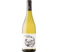 Viognier 2025 - Domaine Gayda