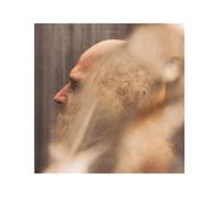 Violate Consensus Reality