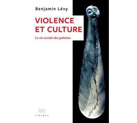 Violence et culture La vie sociale des pulsions - Benjamin Levy - D'ithaque Eds - broché - Essai