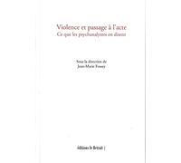 Violence et passage à l'acte: Ce que les psychanalystes en disent