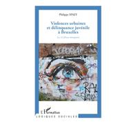 Violences urbaines et délinquance juvénile à Bruxelles: Les 12-20 ans témoignent