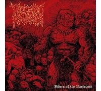 VIOLENT HAMMER - RIDERS OF THE WASTELAND - CD - 19 - E72z