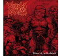 Violent Hammer - Riders of the Wasteland