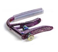 Violet Sky LTD Folk/Electrique