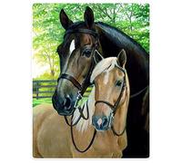 Violetpos 150 x 200 cm - Couverture douce en flanelle - Pour 2 chevaux, forêt, ferme