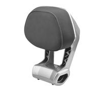 Violiica Dossier en alliage d'aluminium pour trottinette électrique Ninebot Mmax, noir et gris, 24 x 21 cm