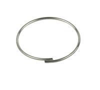 Violiica Ressort à cliquet de rechange pour Novatec et Quantio pour corps de moyeu de vélo, construction métallique, diamètre 20 mm/26 mm, poids 1 g
