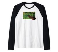 Violiniste - Marchandise Musicale pour Violon Manche Raglan