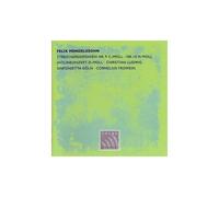 Violinkonzert D-Moll/2 Streich