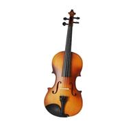 Violon Adulte Tenue De Violon Fabriquée À La Main Finition Antique