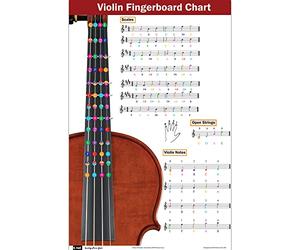 Violon Noir à Corde de Gut, QMG, Orchestral-String-Instruments, 421691031, Légère