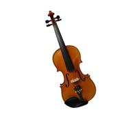 Violon Professionnel En Palissandre 4/4 Avec Fond Global Beau Son Instrument De Jeu Instruments À Cordes Du Violon