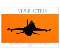 VIPER ACTION - F-16 FIGHTING FALCON (Wandkalender 2026 DIN A2 quer), CALVENDO Monatskalender: Einer der besten Kampflugzeuge der letzten 50 Jahre
