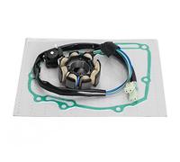 VIPIH Magneto Stator Coil Generator with Gasket pour Honda CRF 250 R CRF250R 2004-2009