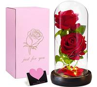 VIPNAJI Rose Eternelle sous Cloche, Cloche Enchantée Ornement Bureau, Faux Abat-Jour en Verre LED - Mariage Maison Décor,Cadeau pour Femme/Mere/Mamie/Petite Amie,Valentin Fete, Multicolore