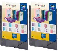 Viquel - Chemise en plastique à élastique - Pochette personnalisable - Format A4 - Qualité supérieure - Fabriqué en France - Gris translucide (Lot de 2)