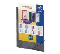 Viquel - Chemise en plastique à élastique - Pochette personnalisable - Format A4 - Qualité supérieure - Fabriqué en France - Gris translucide