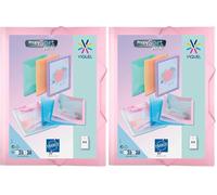 Viquel - Chemise plastique a4 avec rabat et fermeture à élastiques - Chemise plastique personnalisable Propysoft - Fabriqué en France - Rose pastel (Lot de 2)