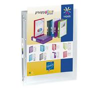 Viquel - Classeur souple a4 personnalisable Propyglass - 4 anneaux - Dos 2.5cm - Incolore translucide