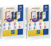 Viquel - Classeur souple a4 personnalisable Propyglass - 4 anneaux - Dos 2.5cm - Incolore translucide (Lot de 2)
