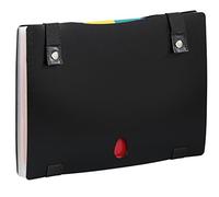 Viquel - Extend'Case Rainbow Class - Trieur de Bureau 12 compartiments en polypropylène - Trieur extensible A4 - Noir