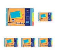 VIQUEL - Intercalaires pour classeur à fiches bristol 12,5x20cm en plastique - Intercalaires Coloris fluo (Lot de 5)