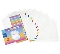 Viquel - Lot de 12 Intercalaires en plastique Intercolor avec onglets d'identification de couleur et index pour un classement optimal - Format A4 MAXI (24,5x30,5cm)