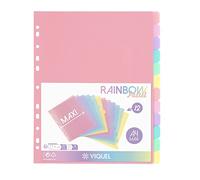 Viquel - Lot de 12 intercalaires en plastique Rainbow Pastel - Maxi format (24,5x30,5cm) - Pour classeur A4 Maxi format ou classeur à levier - Coloris pastel