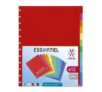 Viquel - Lot de 12 Intercalaires Maxi A4 avec perforation spéciale pour porte vues GEODE à pochettes amovibles