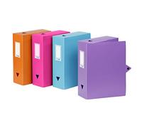 Boite de classement grande capacité ESSENTIEL Viquel Polypropylène Multicolore Multicolore