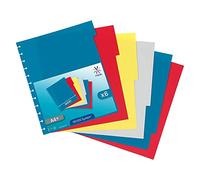 Viquel - Lot de 6 intercAlaires A4+ GEODE en plastique pour porte vues à pochettes amovibles