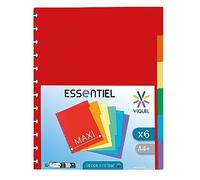 Viquel - Lot de 6 Intercalaires Maxi A4 avec perforation spéciale pour porte vues GEODE à pochettes amovibles, 152487-06