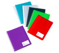 Viquel Porte vues Géode A4 - Polypropylène - 30 pochettes - 60 vues - Assortis