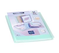 Viquel - Protège documents personnalisable - Reliure Format A4 - Porte vues 120 Vues (60 pochettes) Propysoft - Pochettes transparentes et lisses - Vert translucide