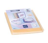 Viquel - Protège documents personnalisable - Reliure Format A4 - Porte vues 120 Vues (60 pochettes) Propysoft - Pochettes transparentes et lisses - Orange translucide