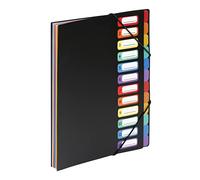 VIQUEL Trieur vertical RAINBOW 12 compartiments à soufflet en polypro 5/10, noir intérieur multicolore