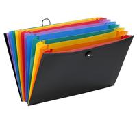 Viquel Rainbow Class - Trieur accordéon de bureau - Porte document 12 positions - Organisateur de bureau extensible - Pochette Format A4 Noir 111667-03