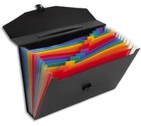 Viquel Rainbow Class - Trieur accordéon de bureau - Porte document 12 positions - Organisateur de bureau extensible - Pochette Format A4 Noir 111667-03