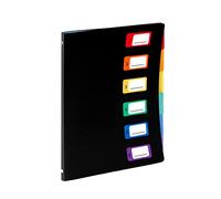 Viquel Rainbow Class Trieur Reliure 6 positions